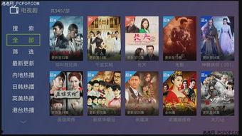 娜美典藏爆料视频下载安装,下载安装全攻略  第1张